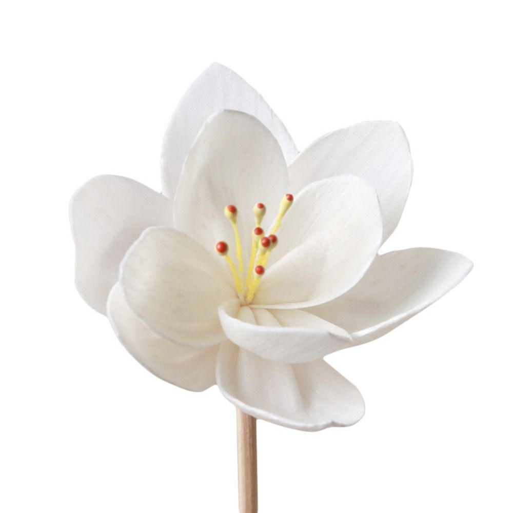Home Fragrance Incense - 5cm Creatieve Handgemaakte Geurverspreider voor Thuis,