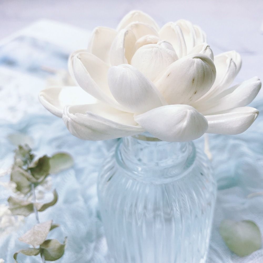 Home Fragrance Stick - Geurstokjes voor thuis, handgemaakte aromatherapie bloemdiffuser,