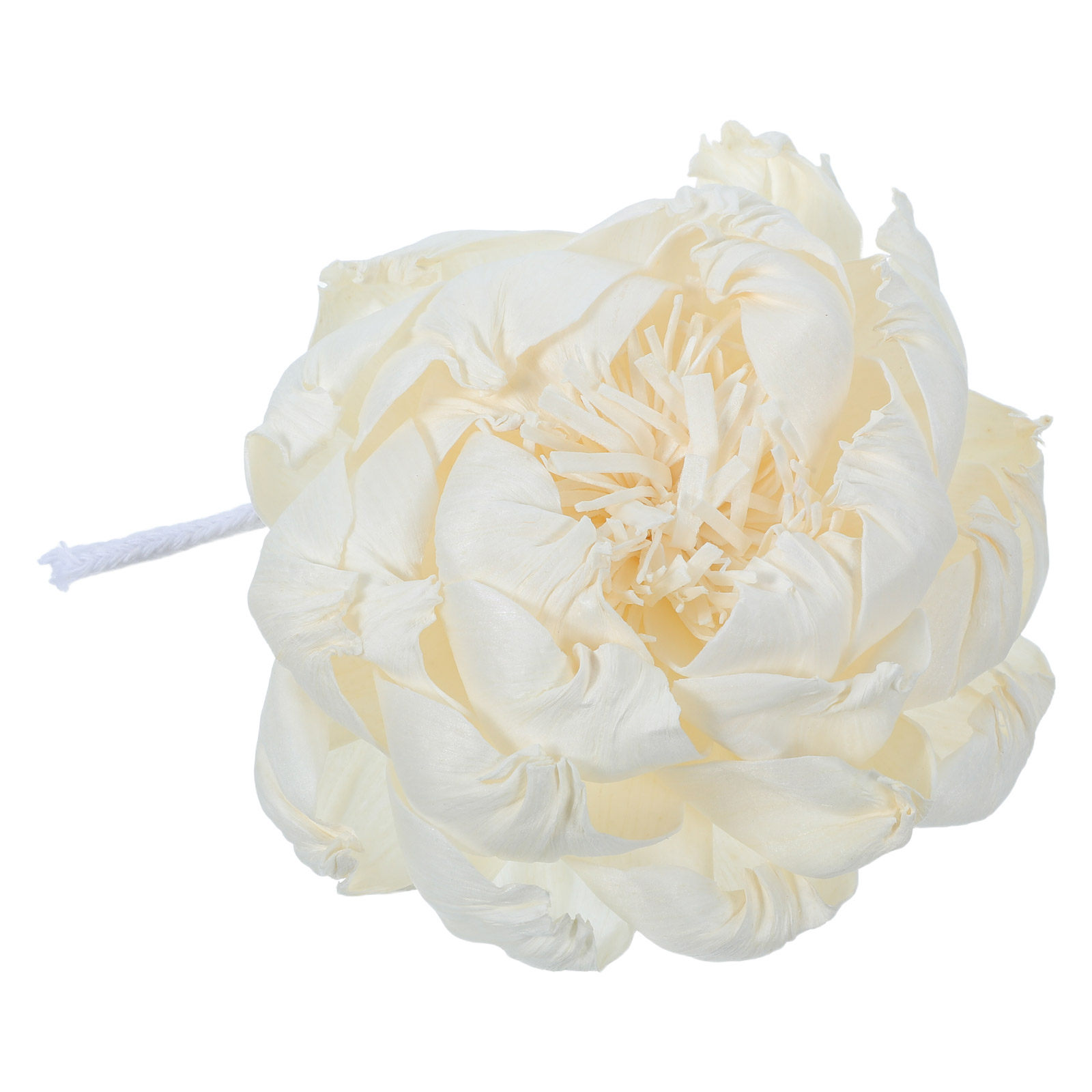 Pioenroos Geurverspreider 12Cm - Home Fragrance Diffuser recensie en prijs