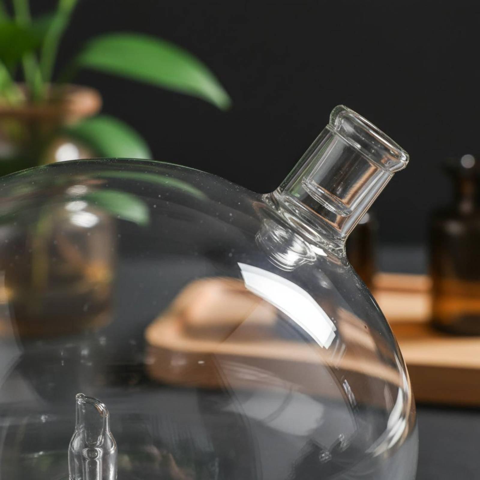 Diffuserfles Universele pasvor - Home Fragrance Diffuser recensie en prijs