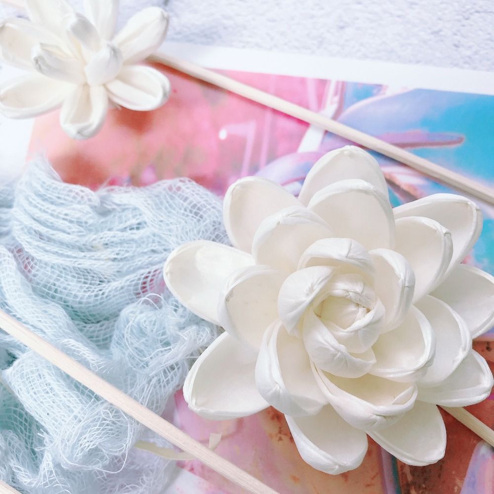 Geurstokjes voor thuis, handge - Home Fragrance Stick recensie en prijs